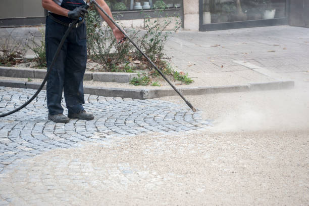 Animal Enclosure Cleaning in Coral Hills, MD
